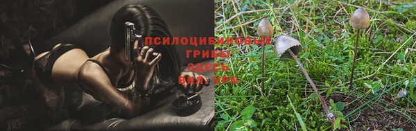СК Вязники