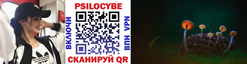 Псилоцибиновые грибы Cubensis  где купить наркоту  Гороховец 